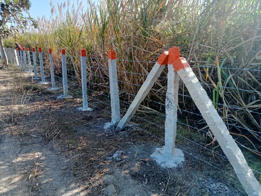 Barbed Wire